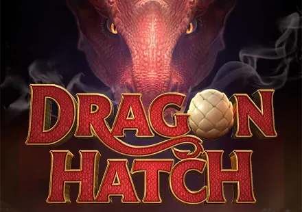 Dragon Hatch icon